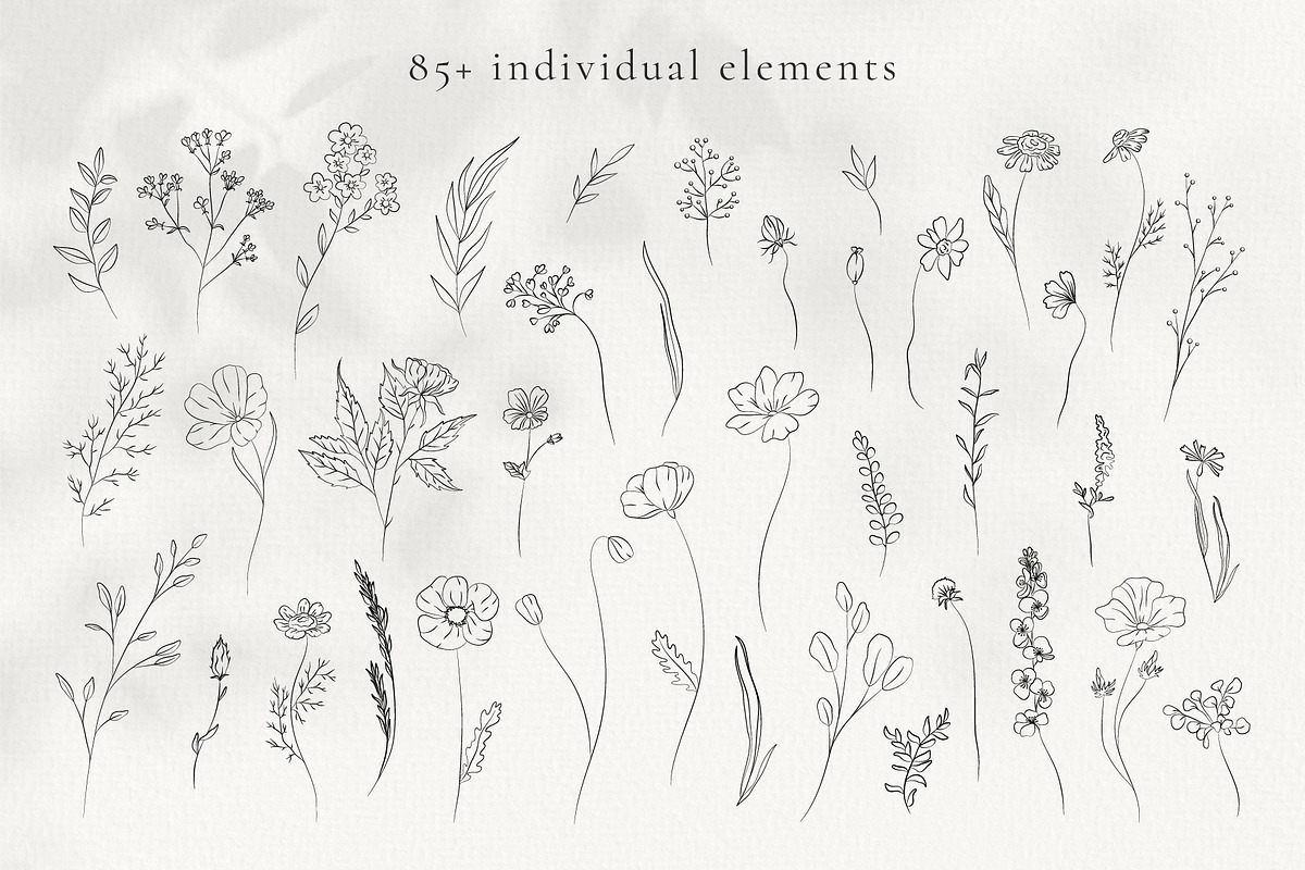 Line Art Wild Flowers Illustrations, a Decorative Illustration by La Petite Line Art (Photo 3 of 12)