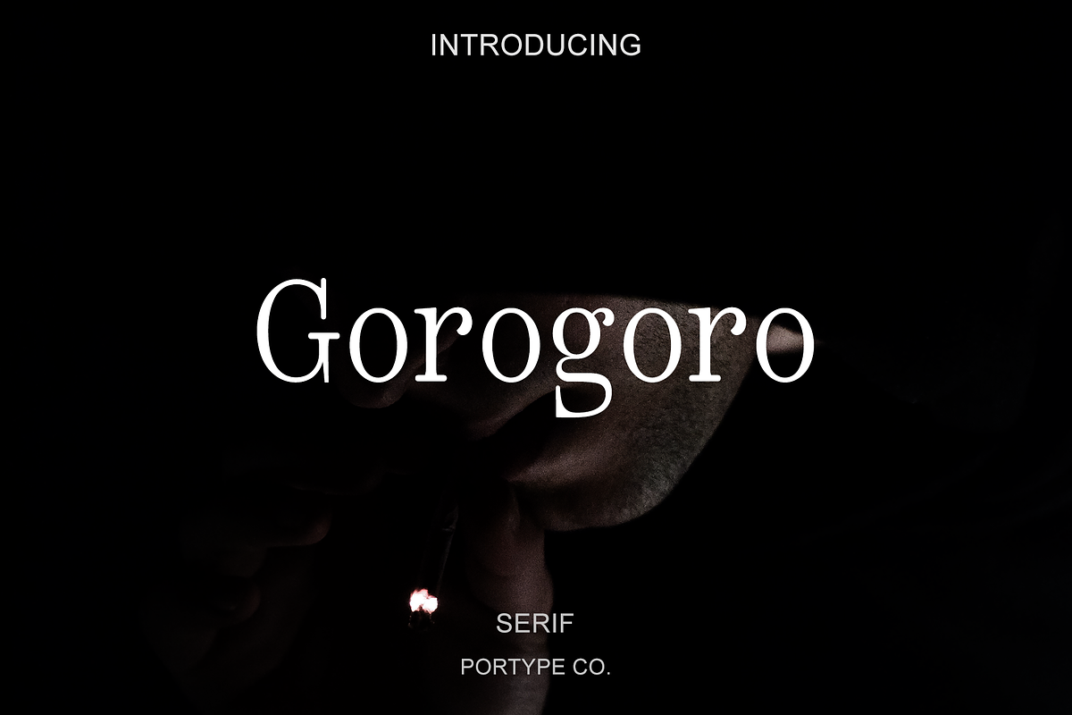 Gorogoro-Serif font, a Serif Font by portype (Photo 1 of 5)