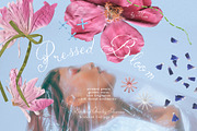 Pressed Bloom Dopamine Set, an Object Graphic by Muse Artist (Thumbnail 1 of 16)