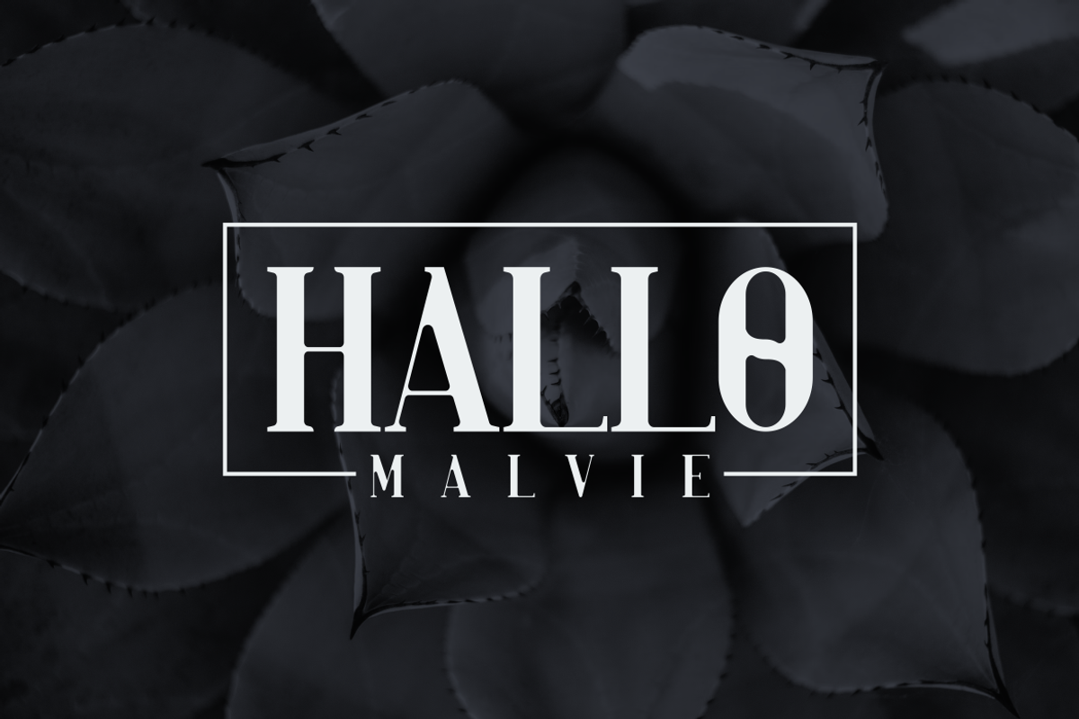 Hallo Malvie - Font, a Serif Font by artchiles_design (Photo 3 of 5)