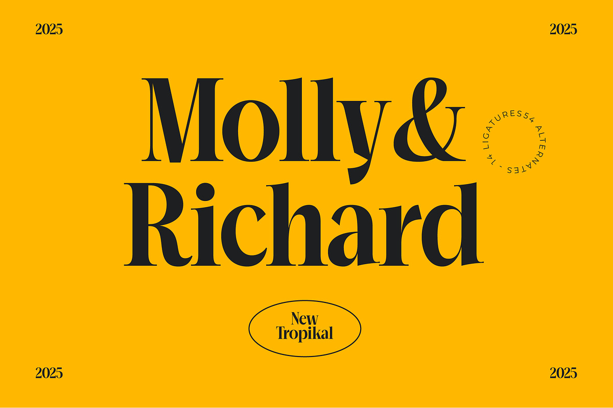 Mailyo Modern Serif Display Font, a Serif Font by timelesstype.co (Photo 14 of 20)