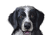 Dogs Cross Breeds 56 Animals Bundle, an Animal Illustration by Dneprstock (Thumbnail 49 of 55)