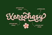 Xerochasy - a Bold Script Font, a Script Font by Ali Hamidi (Thumbnail 3 of 9)