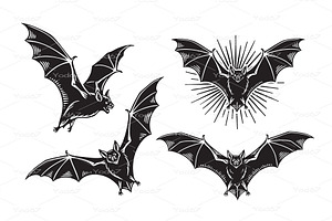 vector set of bats in flight, an Animal Illustration by yod67