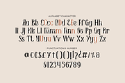 Koaguc - Beautiful Serif Font, a Serif Font by Imoodev (Thumbnail 5 of 5)