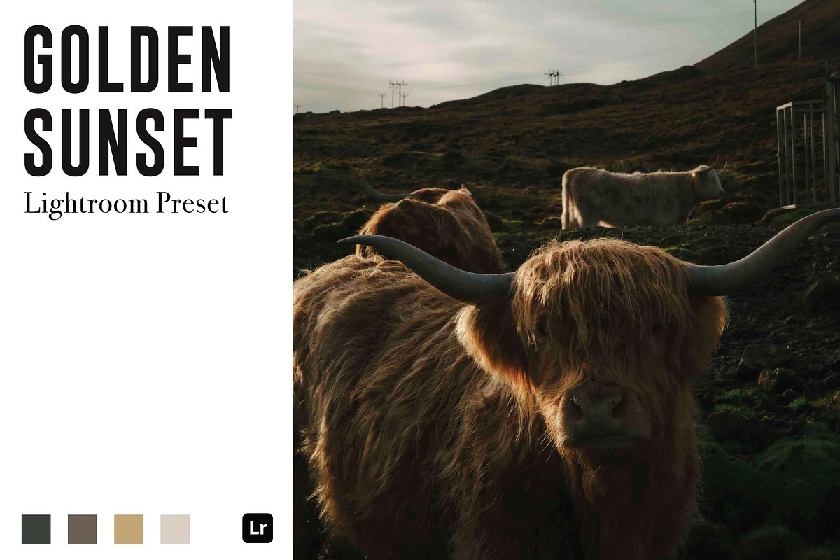 Golden Sunset Lightroom Preset, a Templates & Theme by Bryan Siu (Photo 1 of 5)