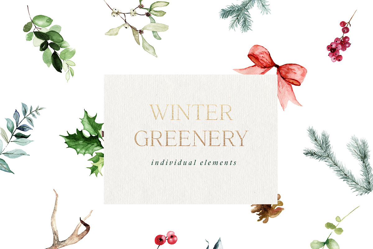 Winter Greenery Watercolor Graphics, an Illustration by studioequinox (Photo 9 of 20)