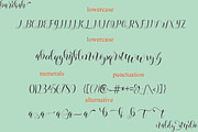 Barokah, a Script Font by NaldyStudio (Thumbnail 6 of 7)
