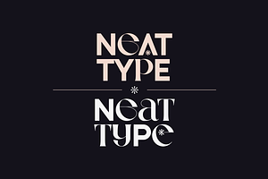 Neat Type - elegant fusion font, a Serif Font by VP Fonts