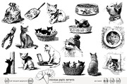 95 line art Cats clip art, an Animal Illustration by Poppy Lane Studio (Thumbnail 2 of 12)