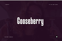 Gooseberry - Bold Typeface + Webfont
