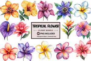 Tropical Watercolor Flower Bundle, an Illustration by Pixels.Craft