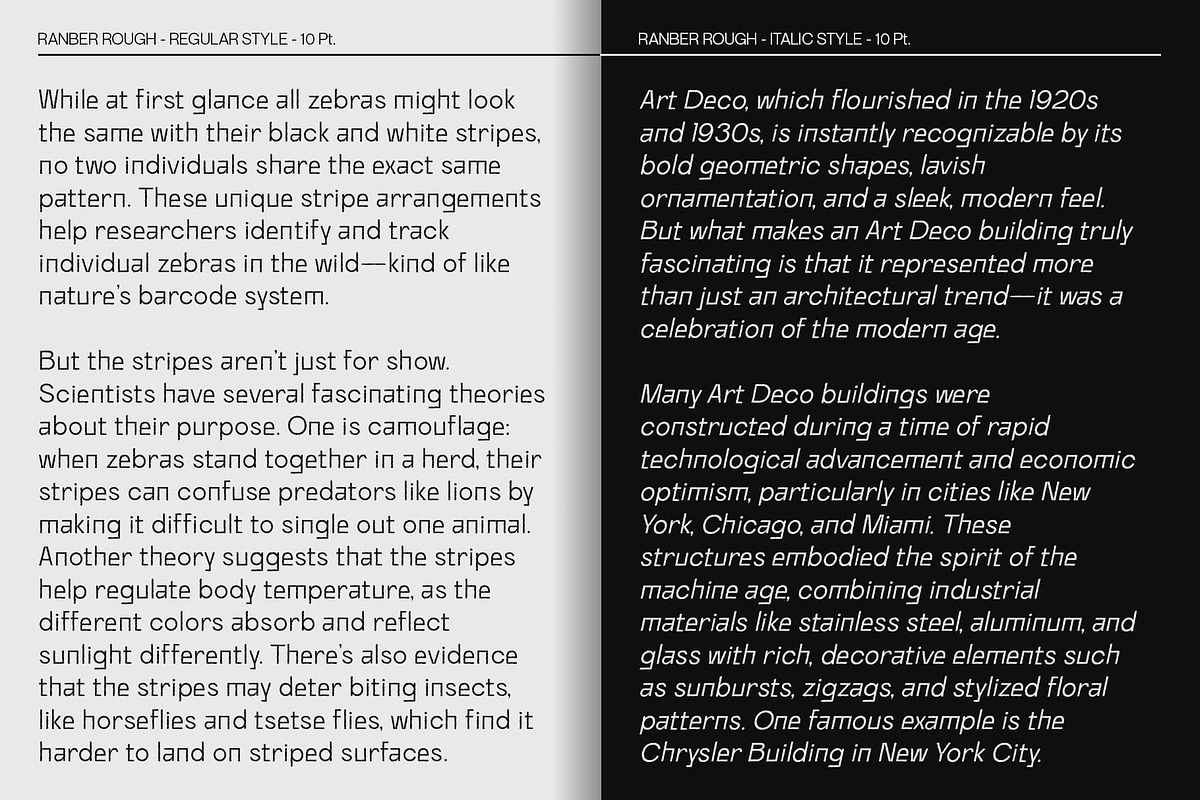 Ranberg Rough, a Sans Serif Font by Craft Supply Co. (Photo 3 of 8)