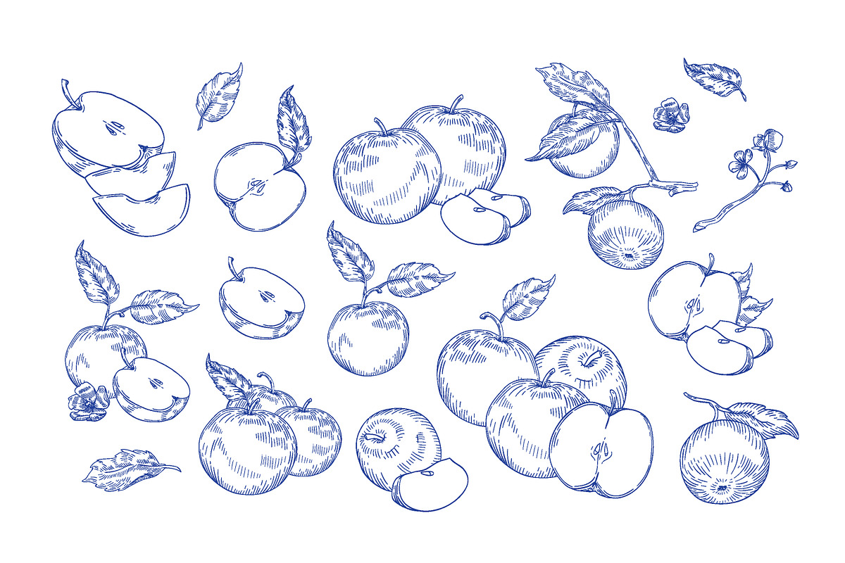 Vintage apples, hand drawn set, a Food Illustration by Good Studio (Photo 2 of 5)