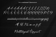 Bhineka Xuloeng, a Handwritten Font by Integritype Studio (Thumbnail 12 of 15)