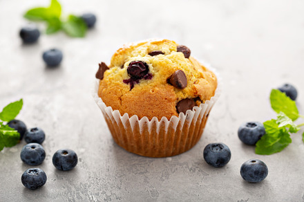 Chocolate chip and blueberry muffins, a Food & Drink Photo by farwasser