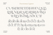 Midnight Obstacle, a Serif Font by Godbless Studio (Thumbnail 7 of 14)