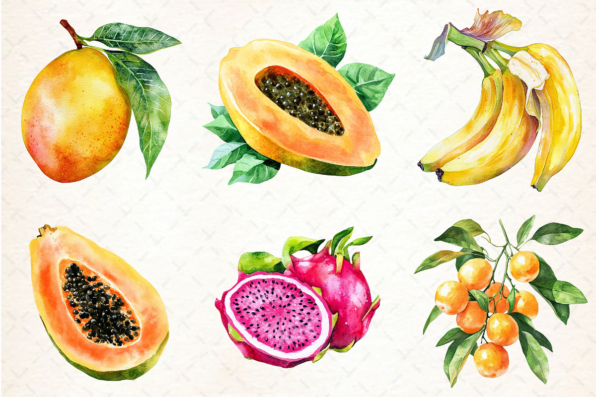 Watercolor Tropical Fruit Clipart, an Illustration by Libby Wishes (Photo 2 of 5)