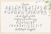 Sabina Angellica - Script Font, a Script Font by StringLabs (Thumbnail 10 of 11)