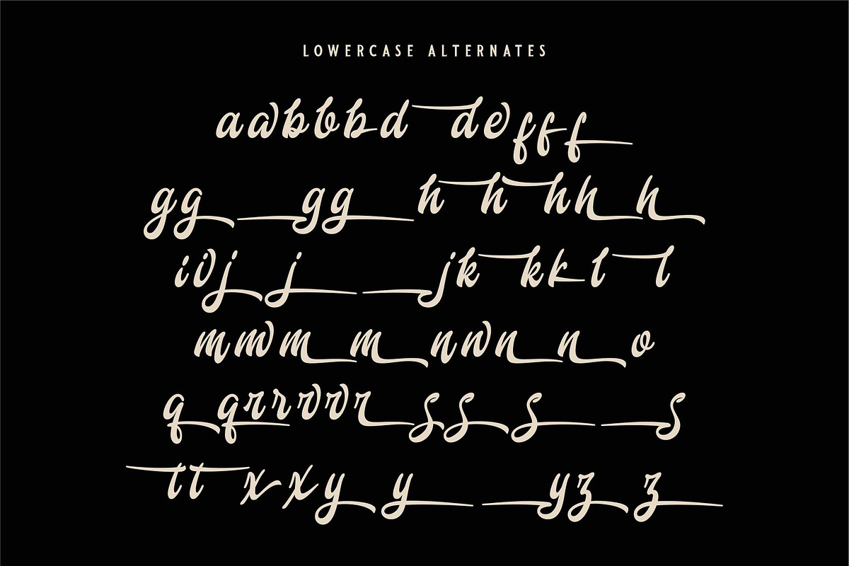 Banions | Bold Signature Script, a Script Font by Havinkpen (Photo 9 of 10)