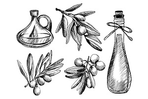 Olive branch sketch with oil bottles, a Food Illustration by art PVP - market