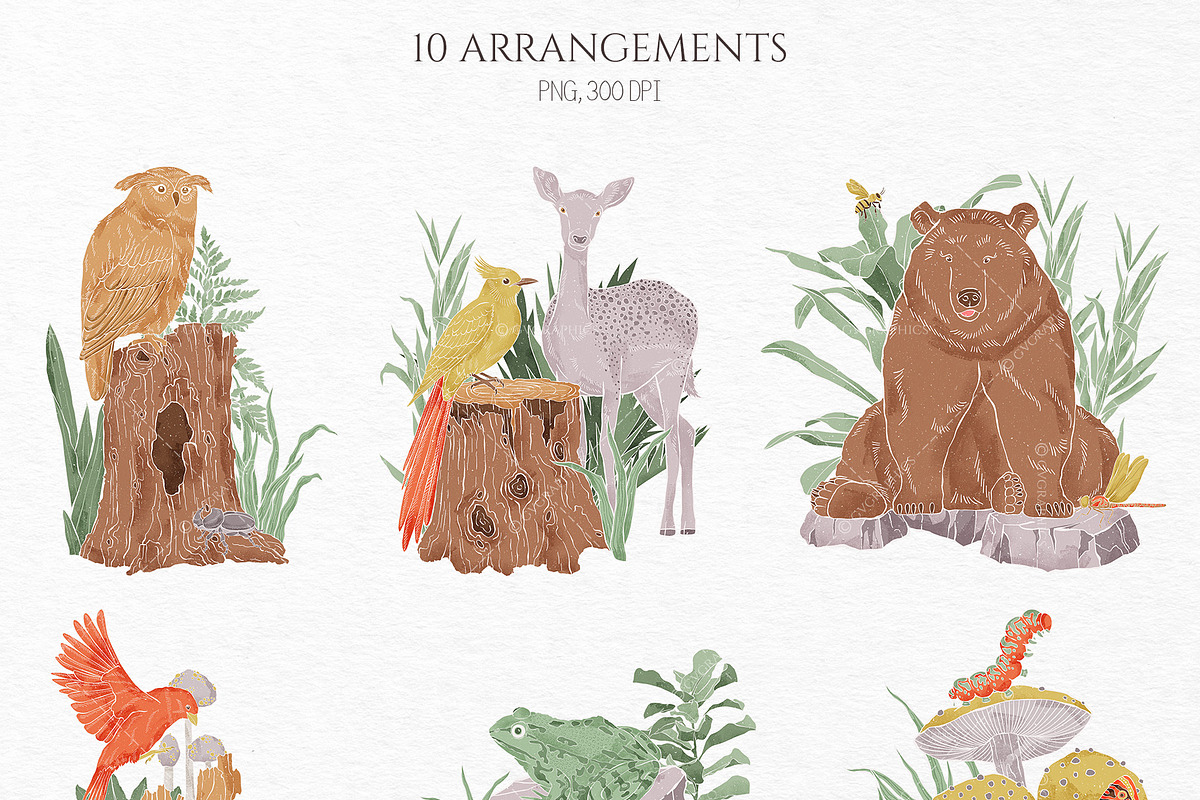 Into the Wild Collection, an Animal Illustration by GVGraphics (Photo 8 of 24)