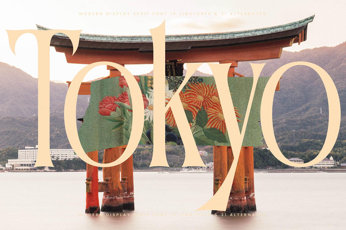Garugis Modern Display Serif, a Serif Font by timelesstype.co (Photo 12 of 20)