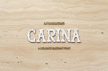 Carina Modern Luxury Serif Typeface