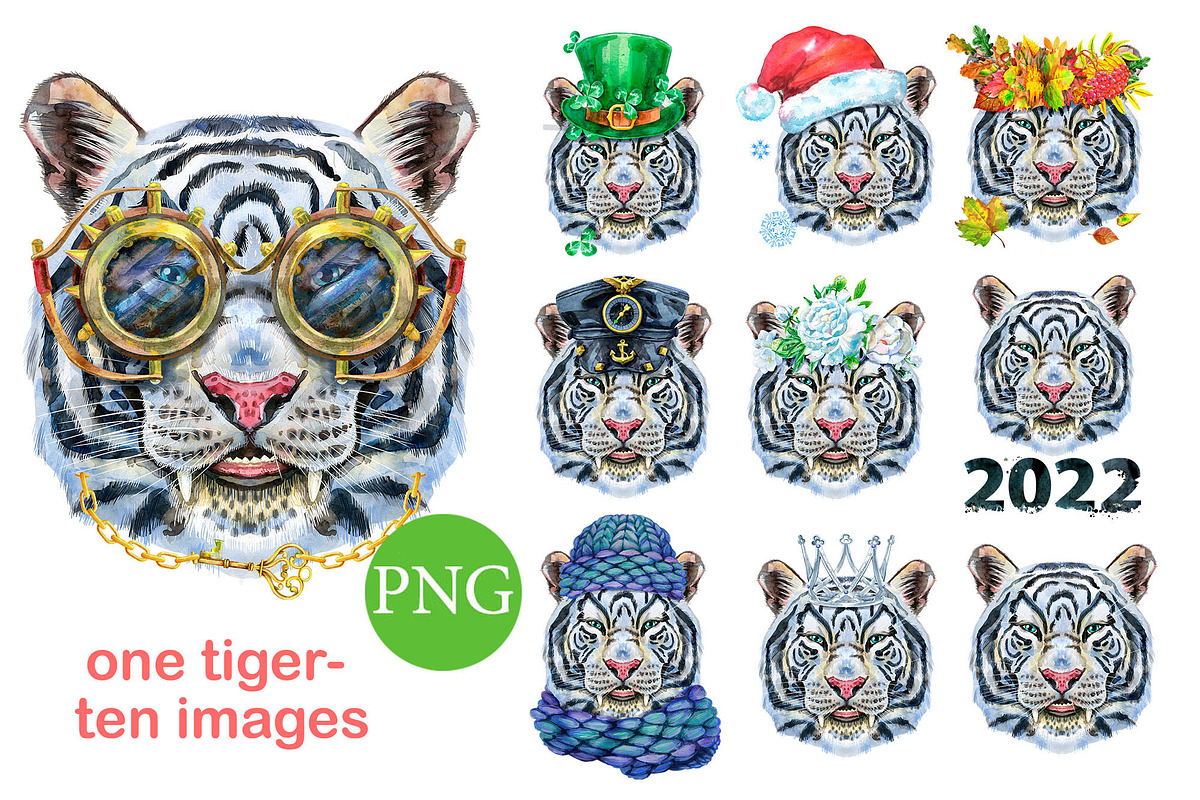 Cute watercolor tigers, an Animal Illustration by Watercolor fantasy (Photo 5 of 6)