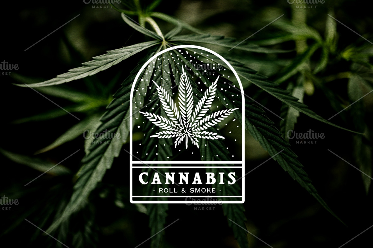 Cannabis & Hand vintage illustration, a Healthcare Illustration by Fat Hamster (Photo 13 of 16)