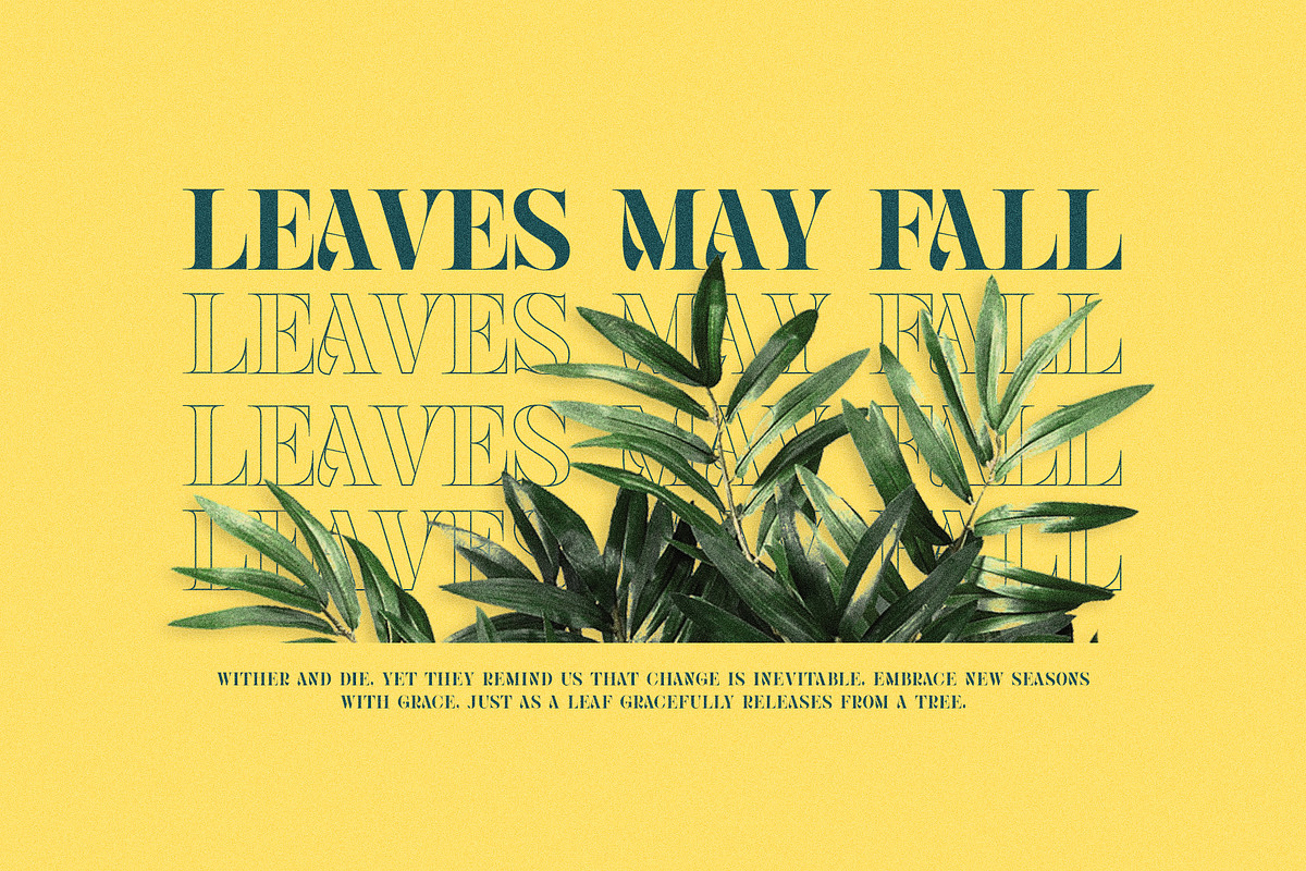 Mikage Elegant Serif Font Typeface, a Serif Font by Graphicxell (Photo 8 of 10)