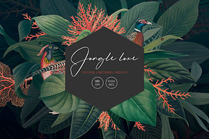 Jungle Luxe Tropical Print Patterns