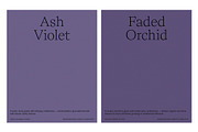 6 Shadowed Purple Grain Backgrounds, a Texture Graphic by CREATIVE WORKS. (Thumbnail 3 of 5)