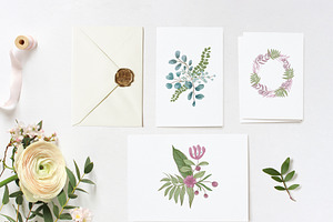 Herbal Spring Watercolor Collection