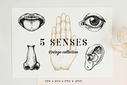 Five Human Senses Vintage Collection, an Object Illustration by Chewie Co (Thumbnail 1 of 8)