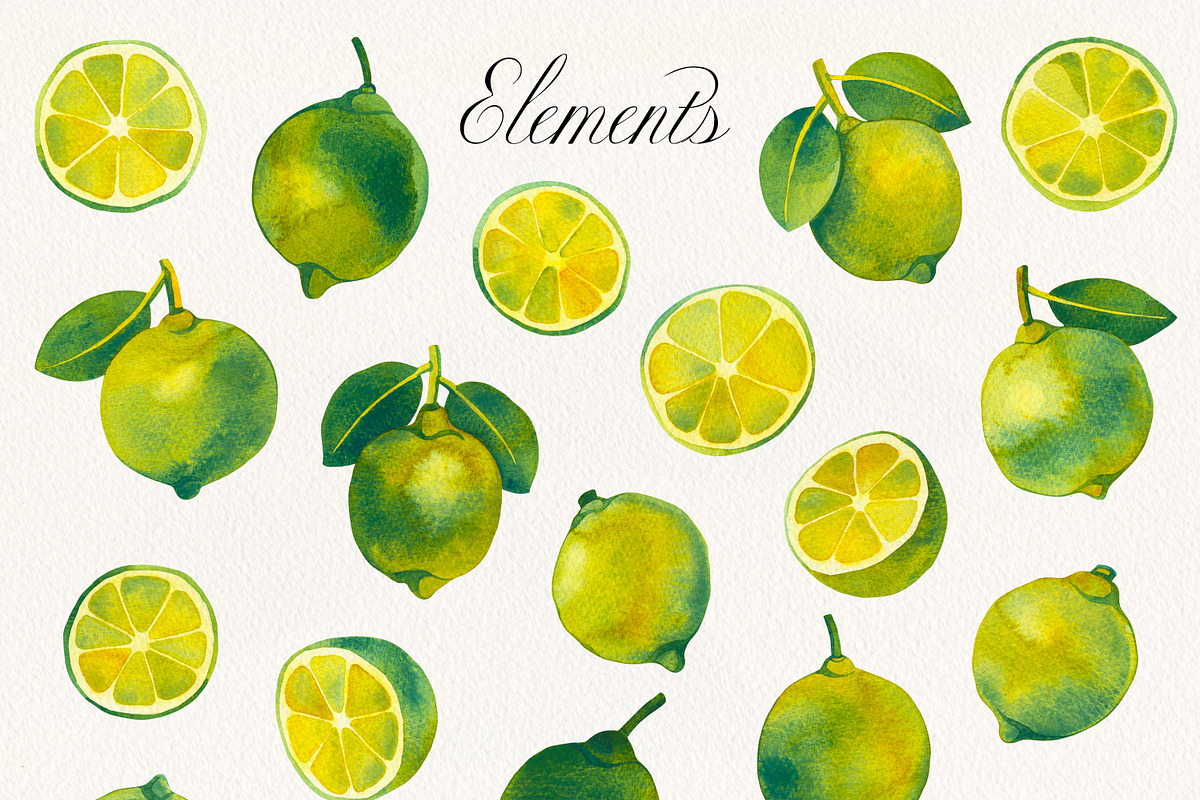 Fruit & Vegetable Watercolor Bundle, a Decorative Illustration by Olga Begak Art & Design (Photo 10 of 13)