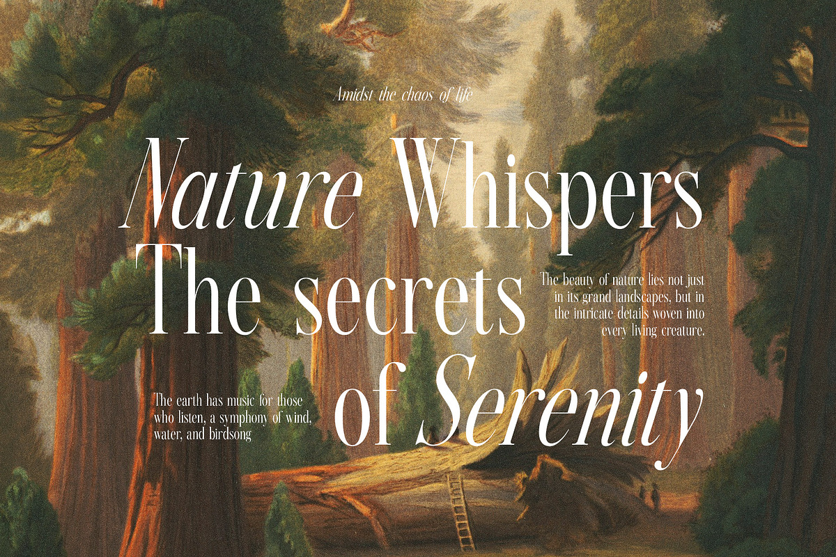Sebastian Moreta Family Serif Font, a Serif Font by Graphicxell (Photo 2 of 8)