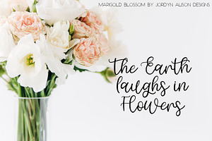 Marigold Blossom Script Font