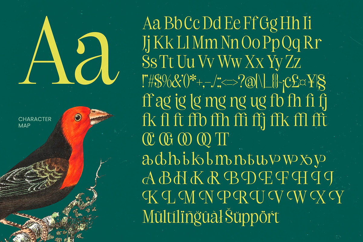 Refika Mughy Thin  Serif Display, a Serif Font by timelesstype.co (Photo 14 of 15)