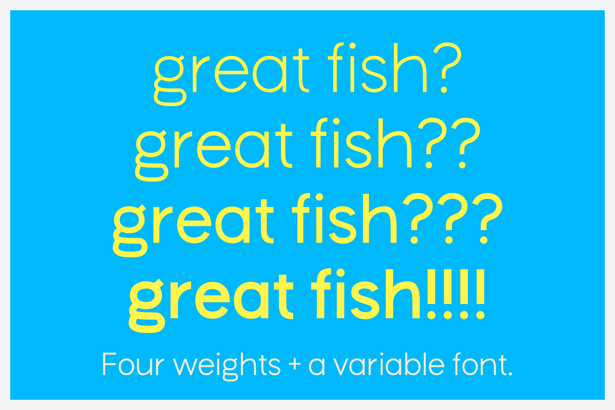 Le Sardino - Font for display & text, a Sans Serif Font by Suolahti Type (Photo 2 of 7)