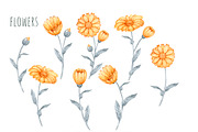 medicine and homeopathy, a Healthcare Illustration by OlyaSenko (Thumbnail 3 of 8)