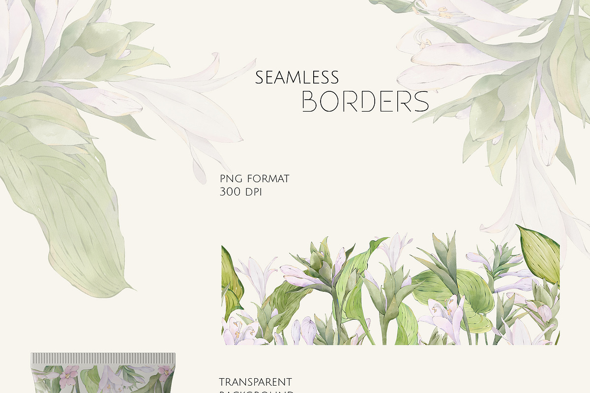 HOSTA watercolor floral set, a Decorative Illustration by Yuliia Lashevska (Photo 5 of 12)