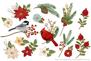 Christmas Birds & Flowers Vectors, an Illustration by Amanda Ilkov (Thumbnail 3 of 5)
