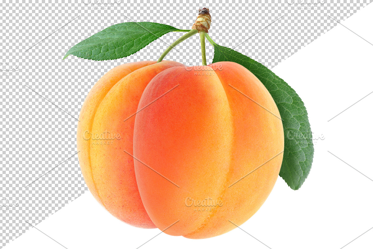 Fresh apricots preview 5