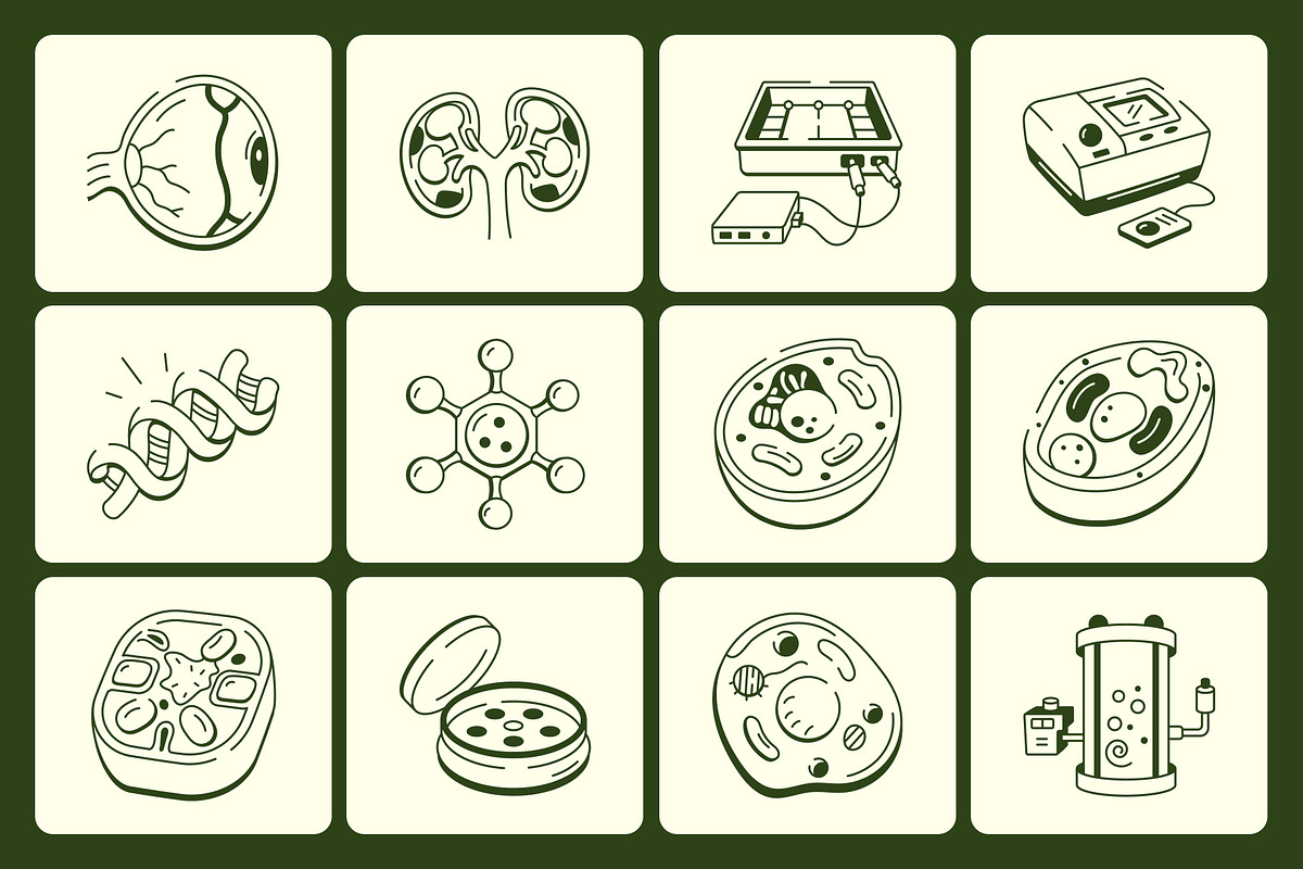 Biology Doodles Icon Pack, an Outline Icon by Vectors Market (Photo 5 of 7)