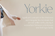 Yorkie font family by Fontpeople, a Sans Serif Font by FontPeople (Thumbnail 2 of 6)