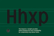 Oculi Magni, a Sans Serif Font by TeGeType foundry (Thumbnail 3 of 5)