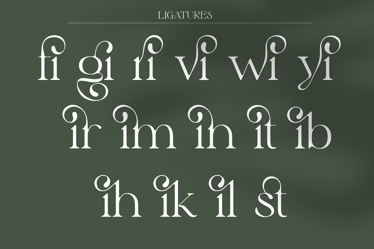 Elyaris | Stylish Serif, a Serif Font by Sealoung (Photo 15 of 17)