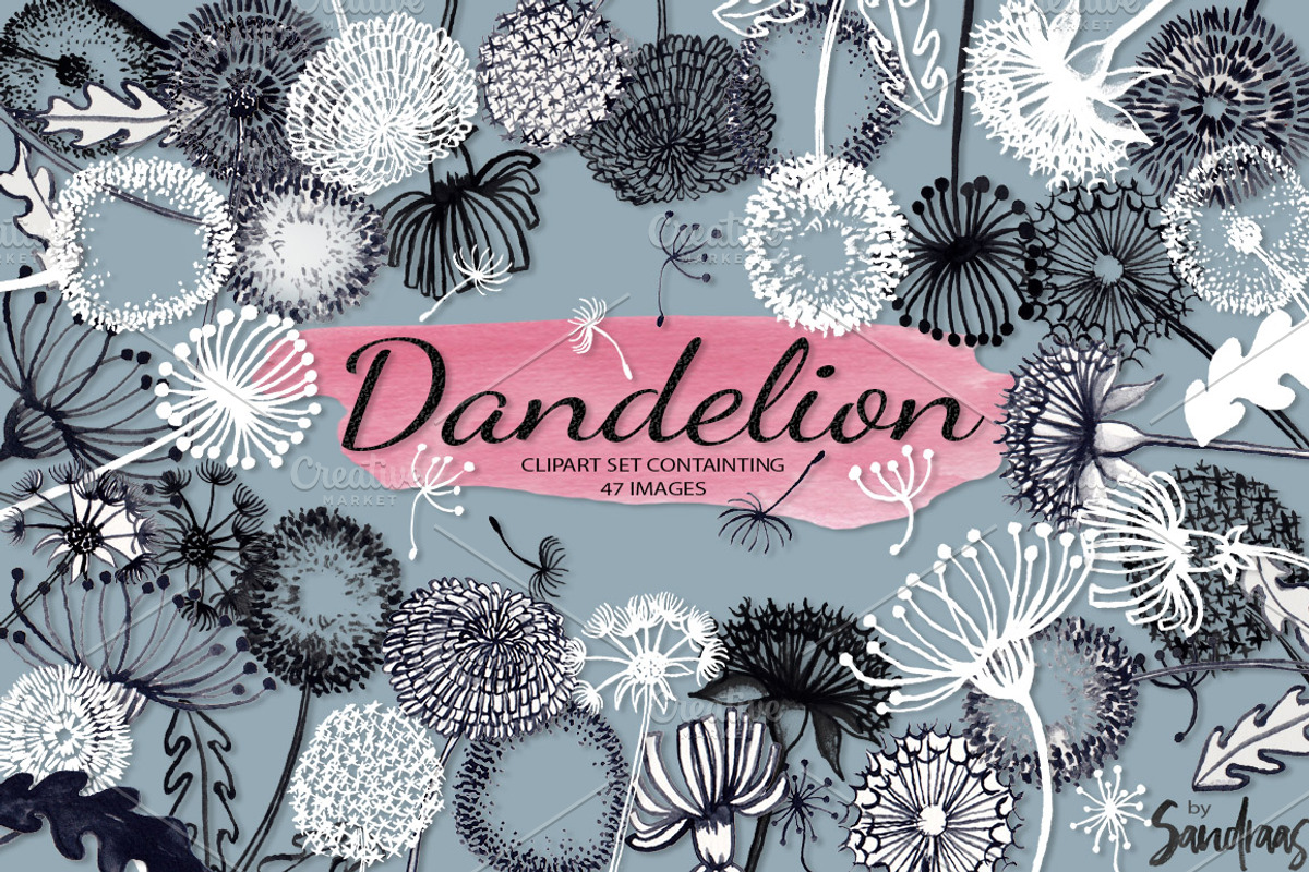 Dandelion handpainted clip art, an Illustration by SandraGraphicDesign (Photo 1 of 4)