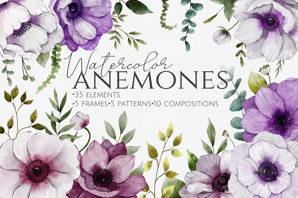 Anemones Watercolor Collection, an Illustration by Dervik Art Store (Photo 1 of 9)